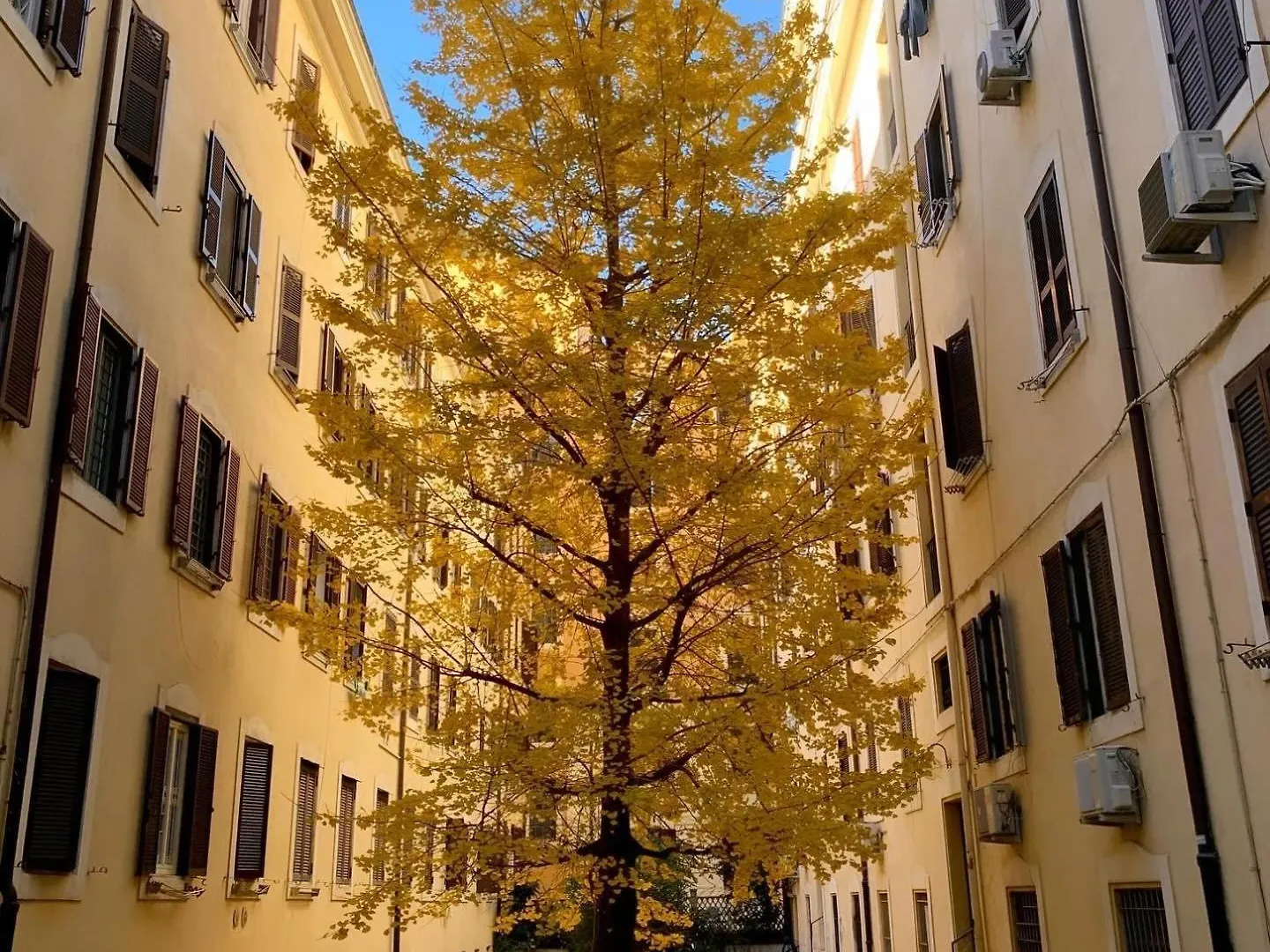 La Spezia 28 Royal Apartment Rome